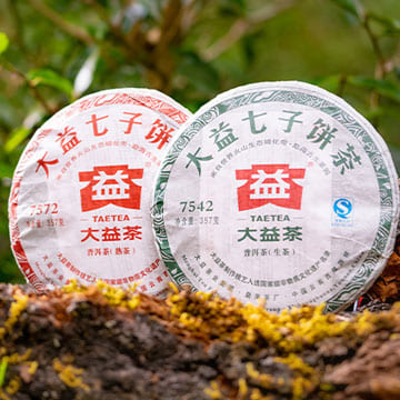 大益普洱茶