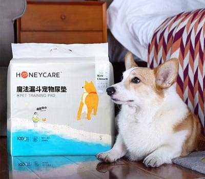 HONEYCARE心宠