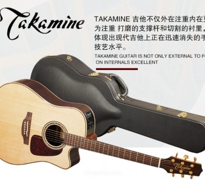 Takamine吉他